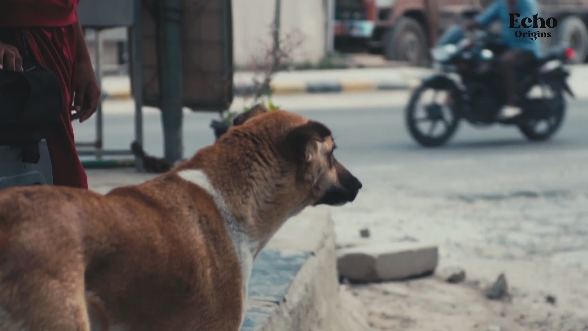 Load video: 